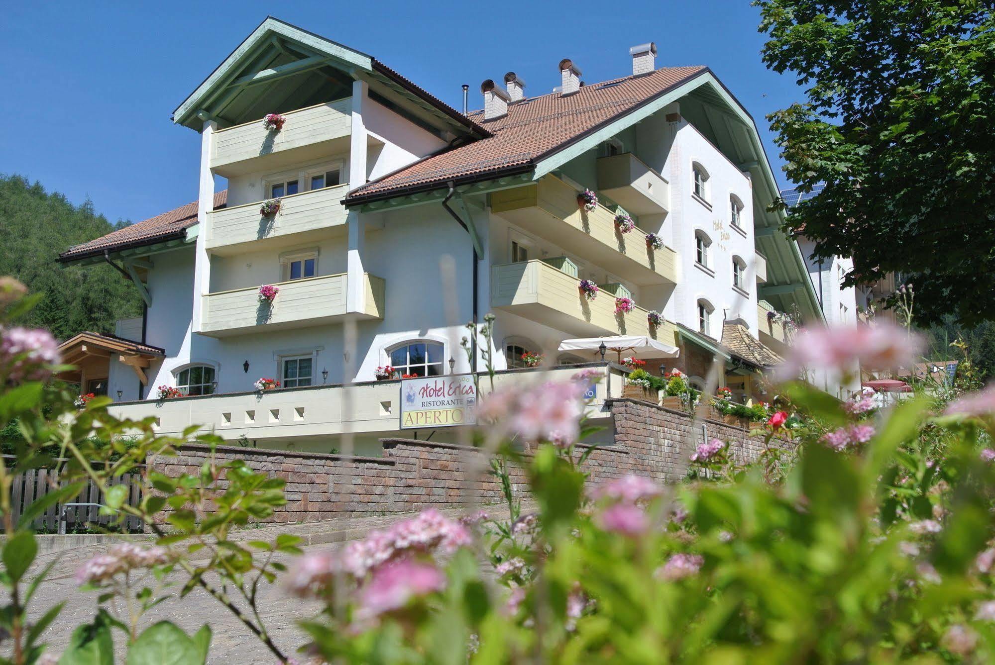 Hotel Erica تيزيرو المظهر الخارجي الصورة